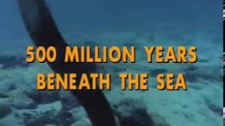 500 Million Years Beneath the Sea Episode 22 of 37 Jacques Cousteau Odyssey The real Life Aquatic [upl. by Katya]