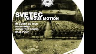 SVETEC  Bass Pump Original Mix [upl. by Yrome]