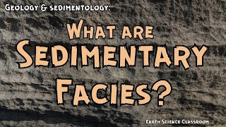 What Are Sedimentary Facies [upl. by Turk]