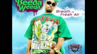 Beeda Weeda  Bassrock Babies Prod DJ Fresh [upl. by Kolosick]