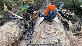 Holzforma G466 “stihl ms460 clone” 25in break in Second Tank of fuel [upl. by Francene]