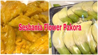 Sesbania Flower Pakora  Easy Recipe  বক ফুল পাকোড়া [upl. by Cusick]