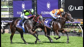 IMPERATRIZ Wins  JIMMYSSTAR Loses  RIFF ROCKET The New Guineas Favourite  Flemington Races Review [upl. by Nnylannej824]