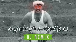 Kuttanadan Kaayalile  Kaazcha DJ Astronix Remix • Malayalam Remix 2023 [upl. by Ellehcsar103]