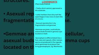 Bryophytes and classes neet2025 neetncertbiology neet2026 youtube youtubeshorts plantkingdom [upl. by Shurlocke]