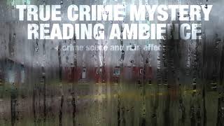 True Crime Books READING AMBIENCE [upl. by Oidgime]