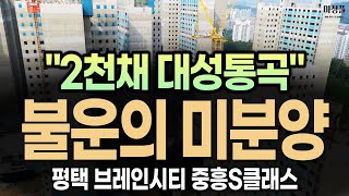 평택브레인시티 중흥S클래스 미분양 quot여기도 완판됩니다 꼭 지켜보세요quot [upl. by Gerger]