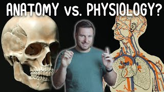 Whats the Difference Between Anatomy and Physiology  Corporis [upl. by Haroppizt826]