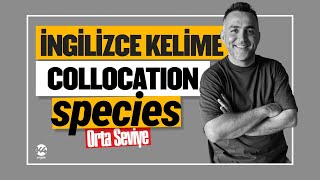 ydt2024 Kelime 🚀 Collocation Species [upl. by Quarta666]