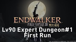 FFXIV Endwalker  Level 90 Expert Dungeon 1 First RunReaction [upl. by Louls4]