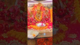 Maa Tarachandi dhaam 🙏❤️❤️🙏 jaishreeram tarachandi song maatarachandi tarachandimandir [upl. by Valina734]