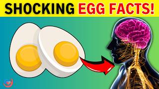 Are 2 EGGS A DAY Really As Dangerous As You Think  Health Secrets [upl. by Vivyan]