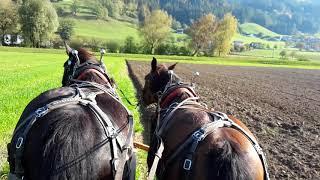 Giganten auf dem Acker  Furche um Furche dem Feierabend entgegen [upl. by Nonaihr]