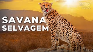 SAVANA AFRICANA  Predadores Brutais e Natureza Épica  DOCUMENTÁRIO COMPLETO [upl. by Enailuj731]