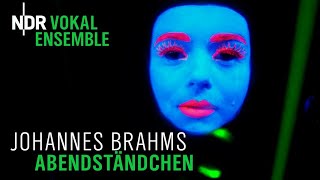 Brahms Abendständchen für sechsstimmigen Chor a cappella  Klaas Stok  NDR Vokalensemble [upl. by Yatnod]