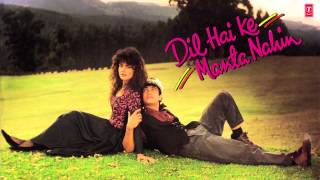 Dil Hai Ki Manta Nahin Full Audio Song Female Version  Anuradha Paudwal  Aamir Khan Pooja Bhatt [upl. by Lokcin868]