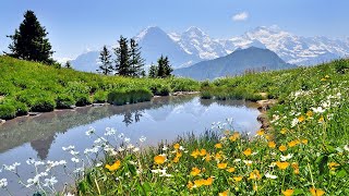 Camping Jungfrau Lauterbrunnen Szwajcaria I Eurocamppl [upl. by Chet]