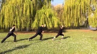 Wudang Tai Chi Chuan Short Hand Form [upl. by Fayola]