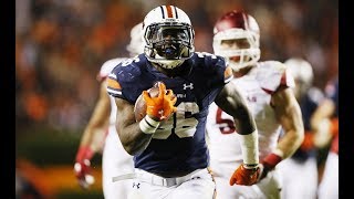 Kamryn Pettway  quotBubbaquot ᴴᴰ  Auburn 2016 Highlights [upl. by Downe]