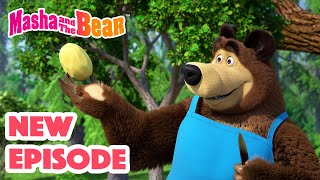 Masha and the Bear 2024 🎬 NEW EPISODE 🎬 Best cartoon collection 🥔 Soup Pursuit 🥕🍲 [upl. by Bernita]