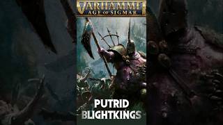 Warhammer miniature ageofsigmar hobby warhammerfantasy unboxing tabletopgame wargame humor [upl. by Higginson318]