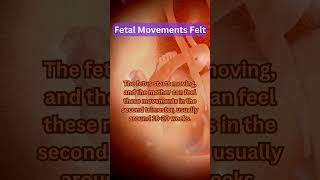 Fetal Movements Felt [upl. by Oileve]