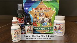 Nzymes Healthy Skin Kit Mini for Yeast and Allergies [upl. by Lairea]