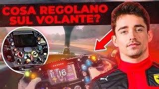 15 REGOLAZIONI AL GIRO 🤯 La FOLLIA della F1 [upl. by Cuttie]