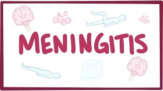 Meningitis  causes symptoms diagnosis treatment pathology [upl. by Vitkun282]