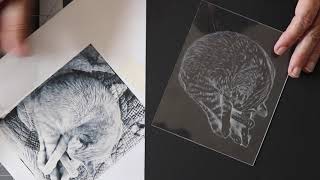 Dry Point Etching on Plexiglass  Sleeping Cat [upl. by Florenza]