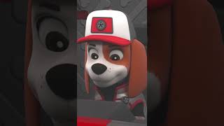 Big Truck Pups save a Satelite crashing from Space PAWPatrol shorts [upl. by Arama]