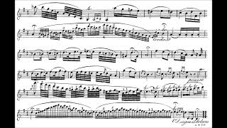 R KREUTZER Concerto nº 17 [upl. by Femi]