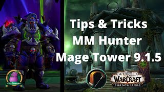 Tips amp Tricks for quotThwarting the Twinsquot Mage Tower w Commentary  MM Hunter POV  Macros  915 [upl. by Blinny]