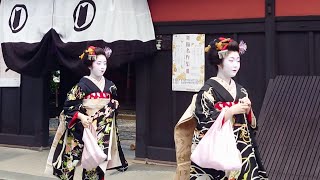 Geishas go the courtesy visit at Hanamikoji in Gion Kyoto  京都祇園、花見小路と宮川町で舞妓さんの八朔、外国人観光客の感動、海外の反応 [upl. by Dessma93]