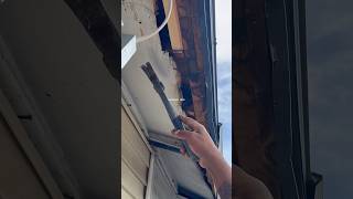 Soffit Repair 🧑‍🔧 soffit repair soffitrepair time diy homerenovation homeimprovement home [upl. by Armond300]