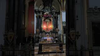 bologna italy travel traveldestinations church [upl. by Eedeed]