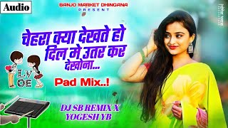 Chehra Kya Dekhte Ho  Pad Sambal Mix  चेहरा क्या देखते हो  DJ SB REMIX YOGESH YB [upl. by Anceline415]