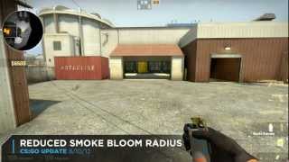 CSGO Update 81012 Deagle Flip Animation Returns Flashbang Strength Reduced New Player Models [upl. by Glassco571]