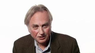 Richard Dawkins The Importance of Doing Useless Things  Big Think [upl. by Yekciv570]