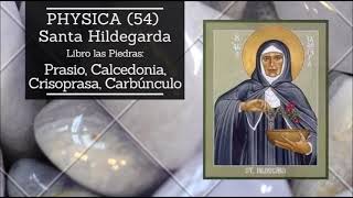 Libro de Medicina Sencilla 54 Santa Hildegarda de Bingen [upl. by Sadonia938]