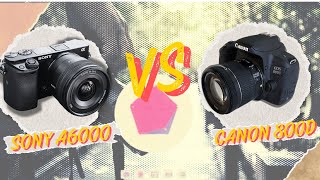 Sony A6000 vs Canon 800D  Tentukan Pilihanmu [upl. by Ssitruc737]