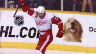 Pavel Datsyuk FULL NHL Career Highlights 20012016 [upl. by Gladwin]