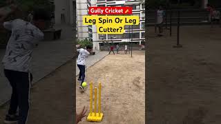 🤔Gully Cricket Leg Spin Or Leg Cutter cricket viratkohli kuldeepyadav sports [upl. by Atcliffe]