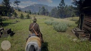 Red Dead Redemption 2  Huesos de Dinosaurio con Arthur Morgan [upl. by Euqinomahs]