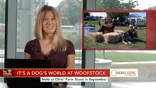 The Haverhill Journal  Oct 3 2024 Woofstock YMCA Freight Farm Merrimack Corner [upl. by Ragen]