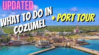 UPDATED Cozumel Cruise Guide  Port Tour  Excursions [upl. by Naghem]