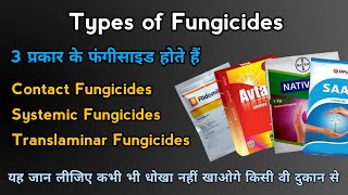 Types of Fungicides  कितने प्रकार के फंगीसाइड होते है Classification of fungicides Mode of Action [upl. by Charteris]