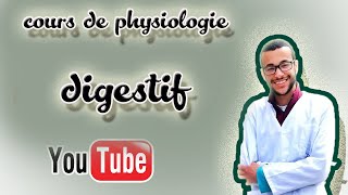 physiologie digestive  2  la motricité [upl. by Spratt919]