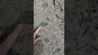 Mafic Inclusions in Rhyolite Ash Flow Tuff Gran Canaria geology volcano lava travel [upl. by Enelyaj]