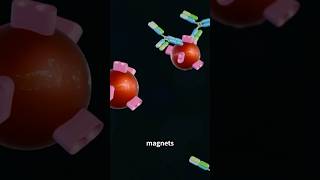 Revolutionize Diagnostics Magnetic Particles for High Sensitivity CLIA nanotechnology diagnostics [upl. by Araed236]